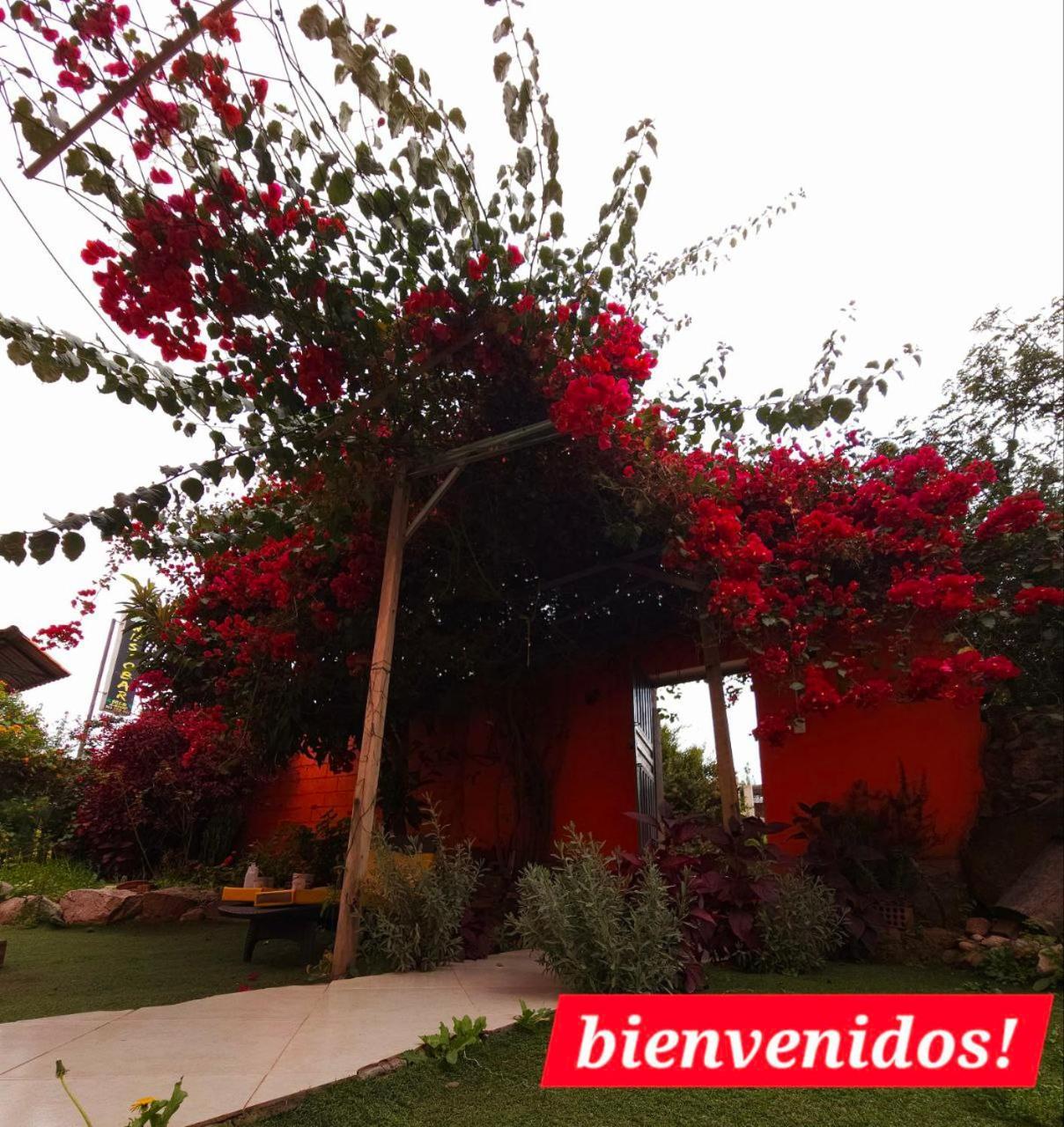 Valle Verde, & Lodge *